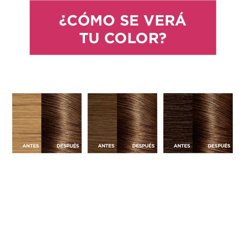 EXCELLENCE TINTE CASTANO 677 RESULTADOS